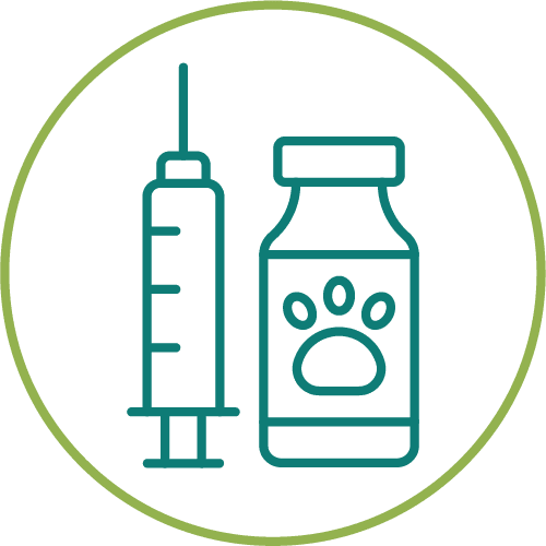 dark green drawing of pet medication in a light green circle